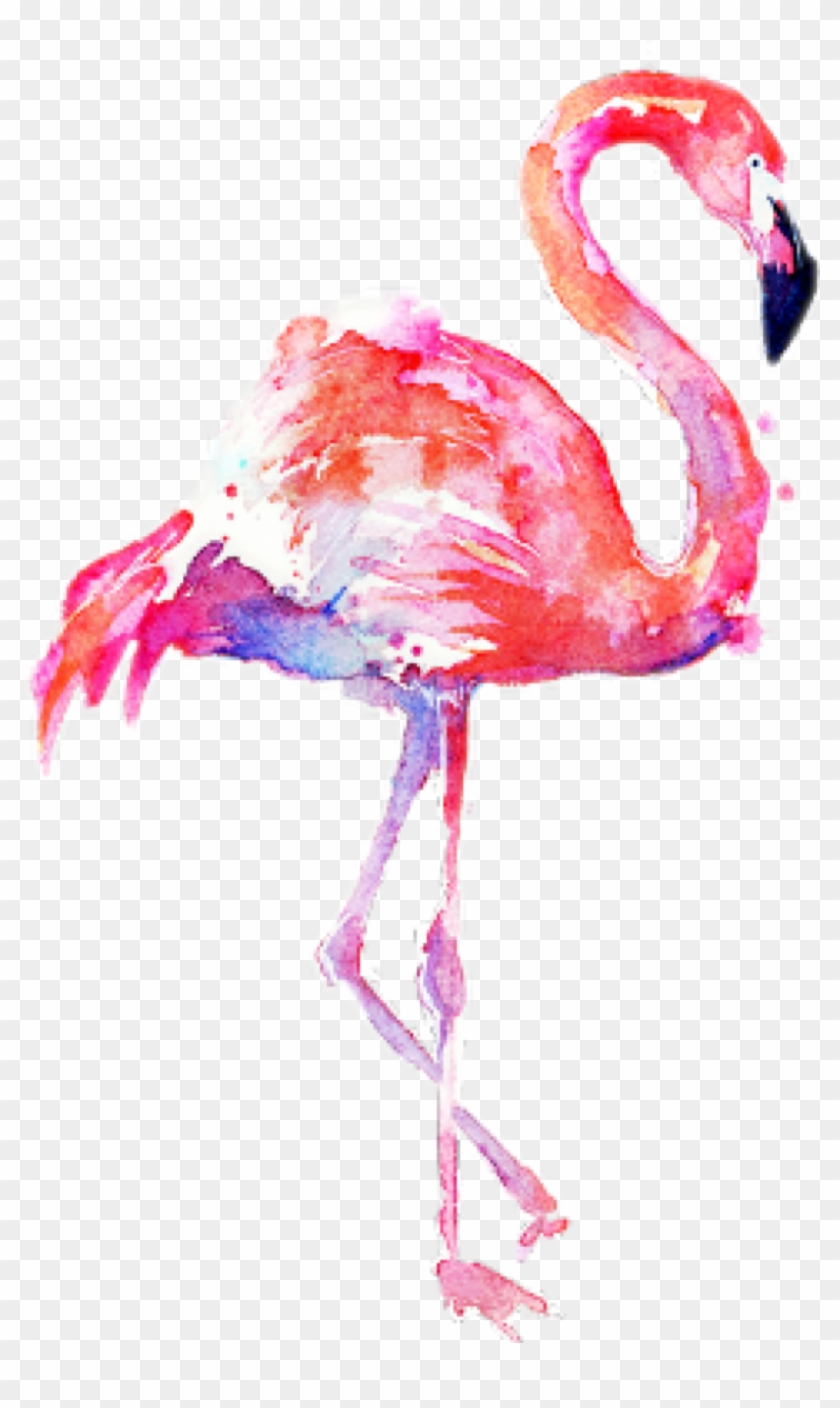 Flamingo Transparent Water Color Clipart