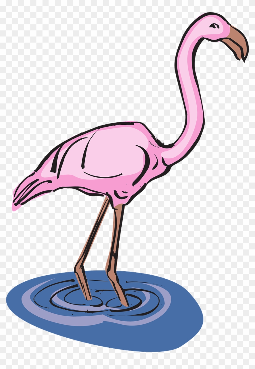 Flamingo Clipart Wings - Flamingo In Water Clipart - Png Download #1011282