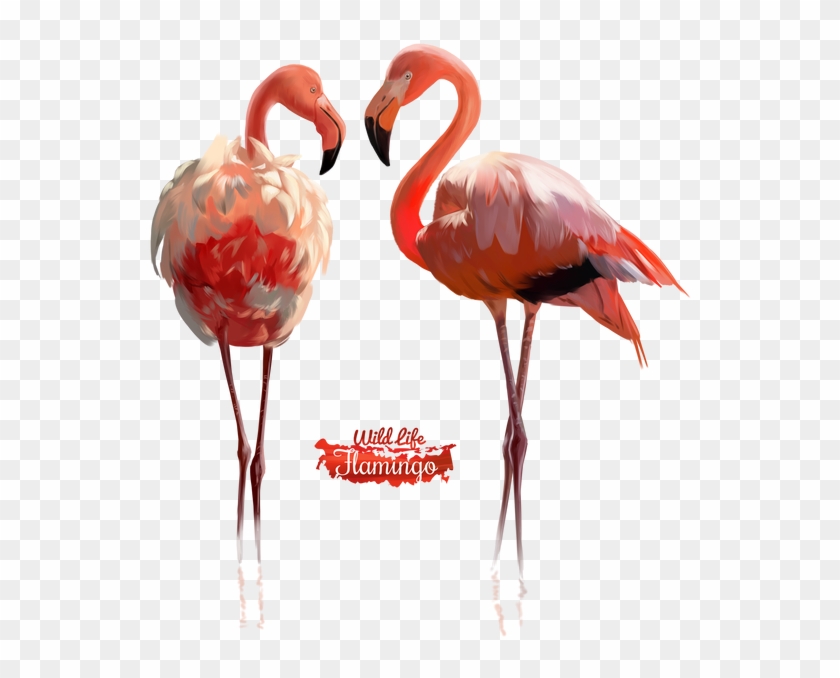 600 X 626 7 - Psp Tube Flamingo Clipart #1011487
