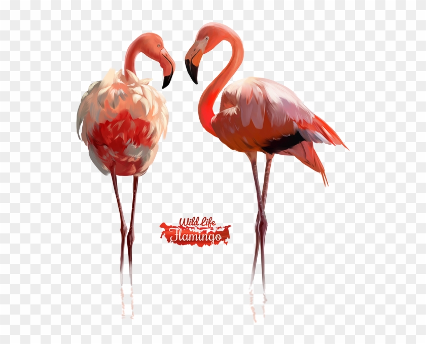 600 X 626 7 - Psp Tube Flamingo Clipart