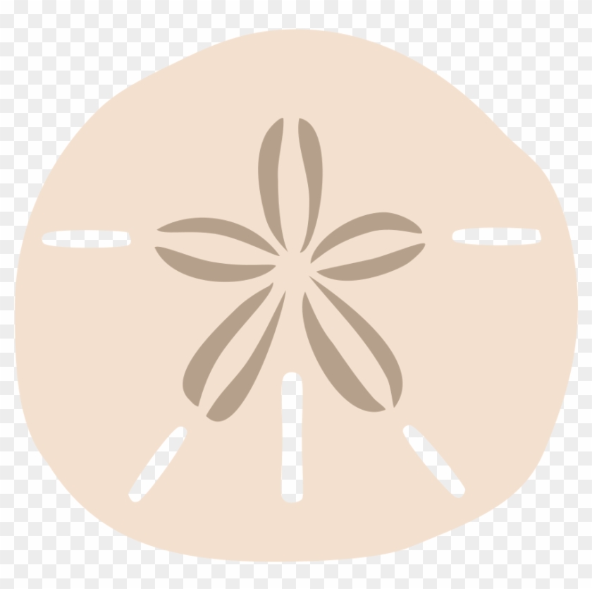 1000 X 946 5 - Sand Dollar Png Clipart #1012079