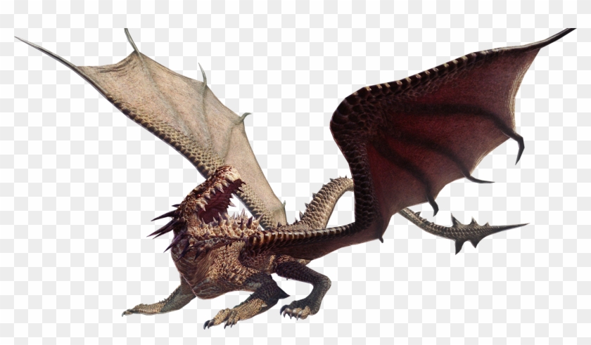 Monster Drake Exp - Dragon's Dogma Dragon Png Clipart