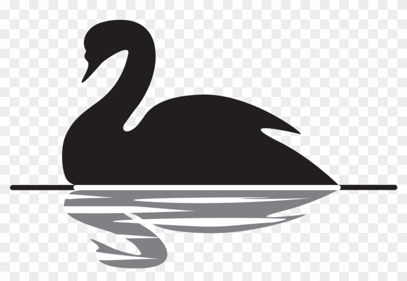 Black Swan Event Picture - Advaita Vedanta Clipart #1013032