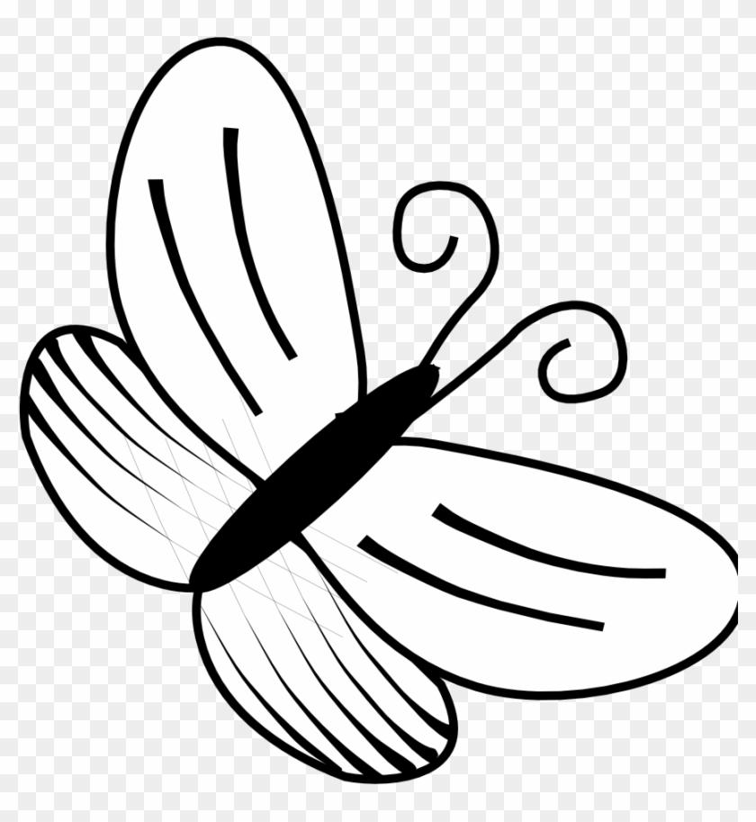 Butterfly Black White Art Flower Shrub Plant Info Linkedin - Butterfly Clipart Black And White - Png Download