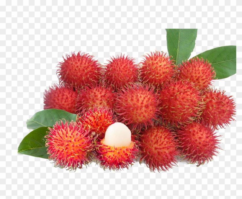 Rambutan Fruit - Png Rambutan - Rambutan Fruit Price In India Clipart