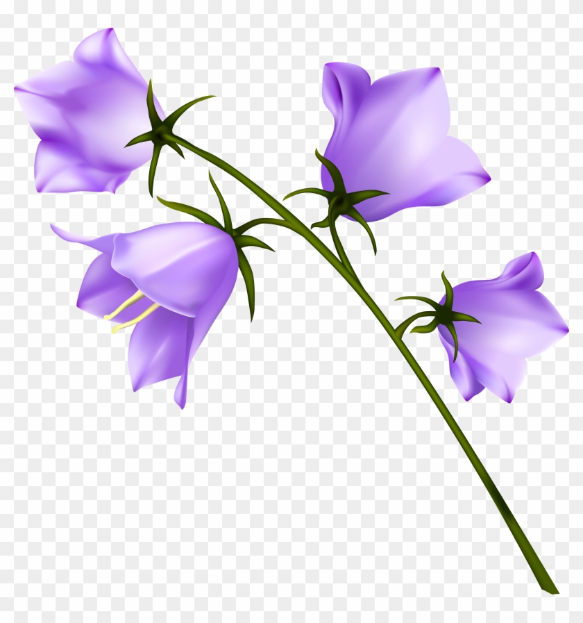 Spring Flower Png Clipart #1013721