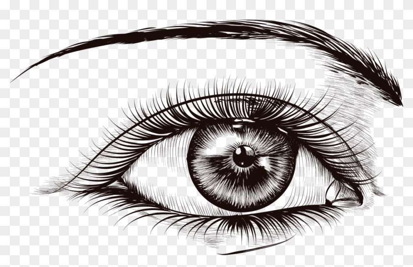 Lash Extension Products Semi Lashes Real Lash Extensions - 睫毛 卡通 Clipart