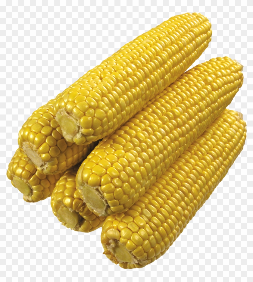Corn Png Free Download - Transparent Image Of Corn Clipart #1014761