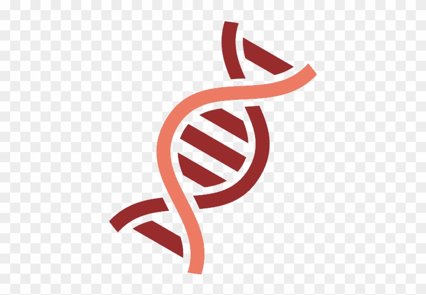 Dna Png - Dna Clipart #1014762