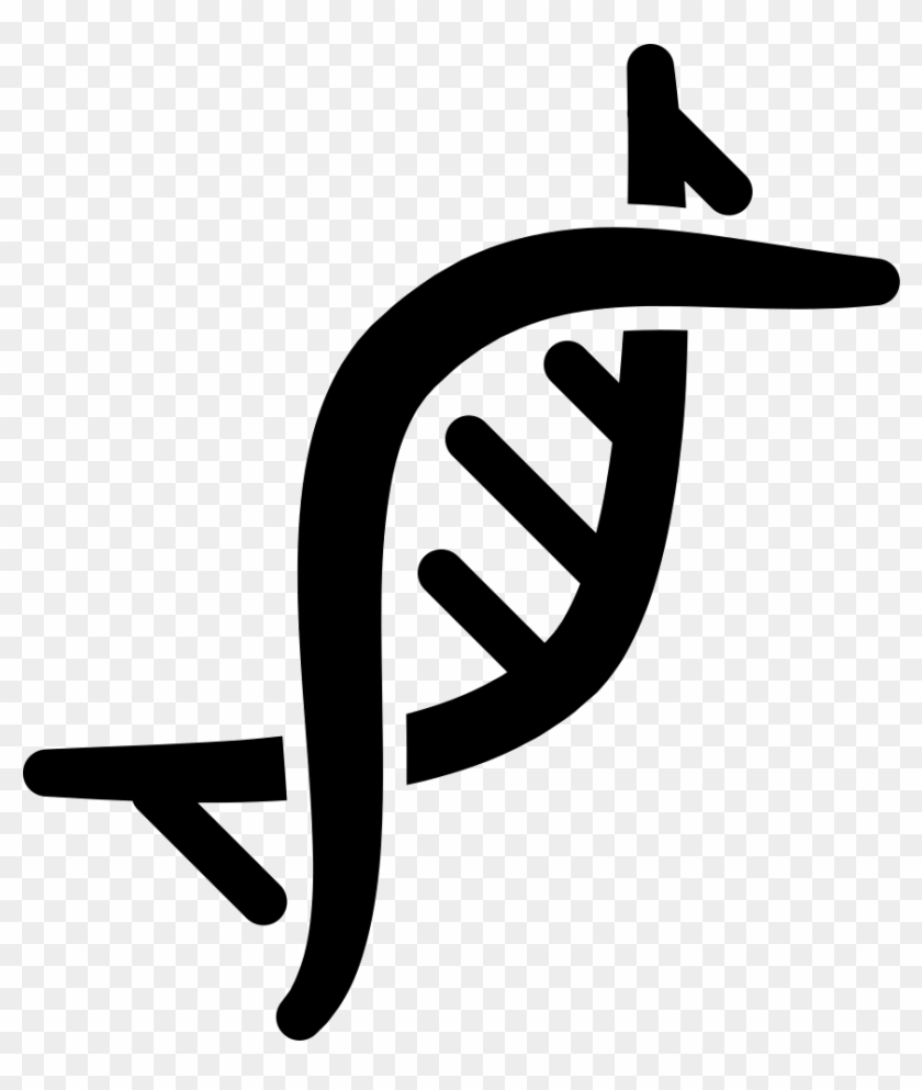 Dna Png - Chromosome Icon Clipart #1015072