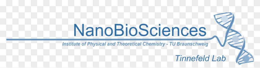 Dr Phil Logo Png For Kids Clipart