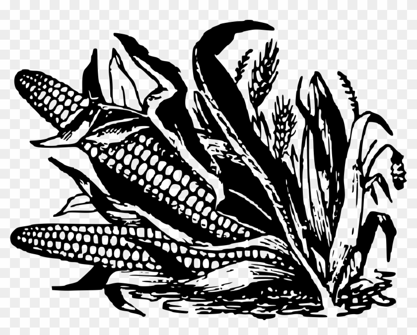 Big Image - Corn Image In Black And White Clipart #1015145
