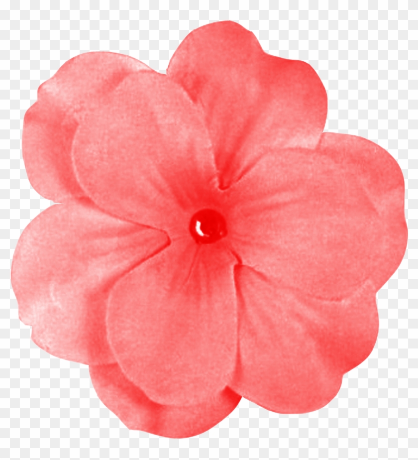 Pink Daisy Flowe Png - Digital Scrapbooking Clipart #1015174