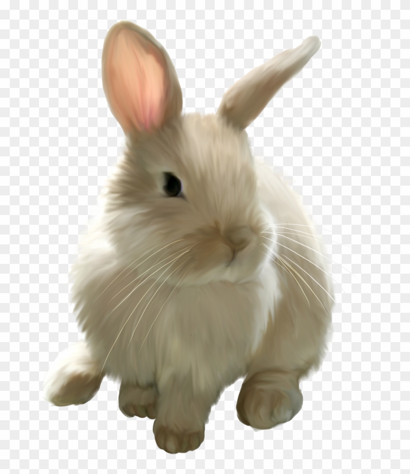 Cute Painted Bunny Png Picture Clipart - Real Easter Bunny Png Transparent Png #1016013