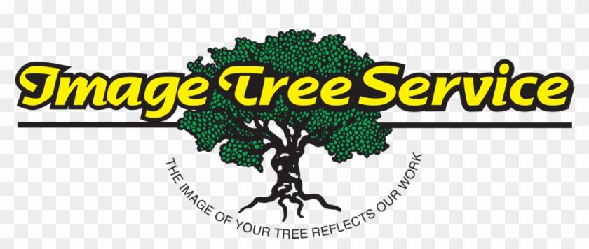 Get Around - Tree Clipart #1016196