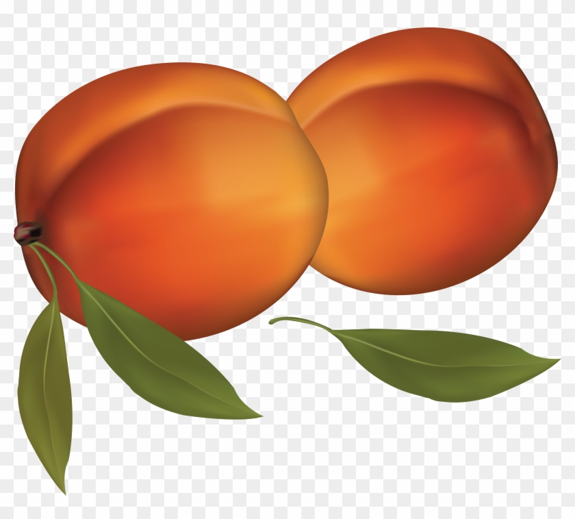 Peach Clipart Transparent Background - Png Download #1018159