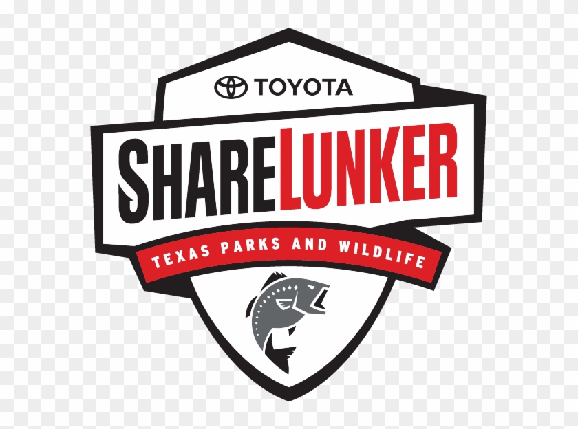 2019 Season Underway - Toyota Clipart #1018699