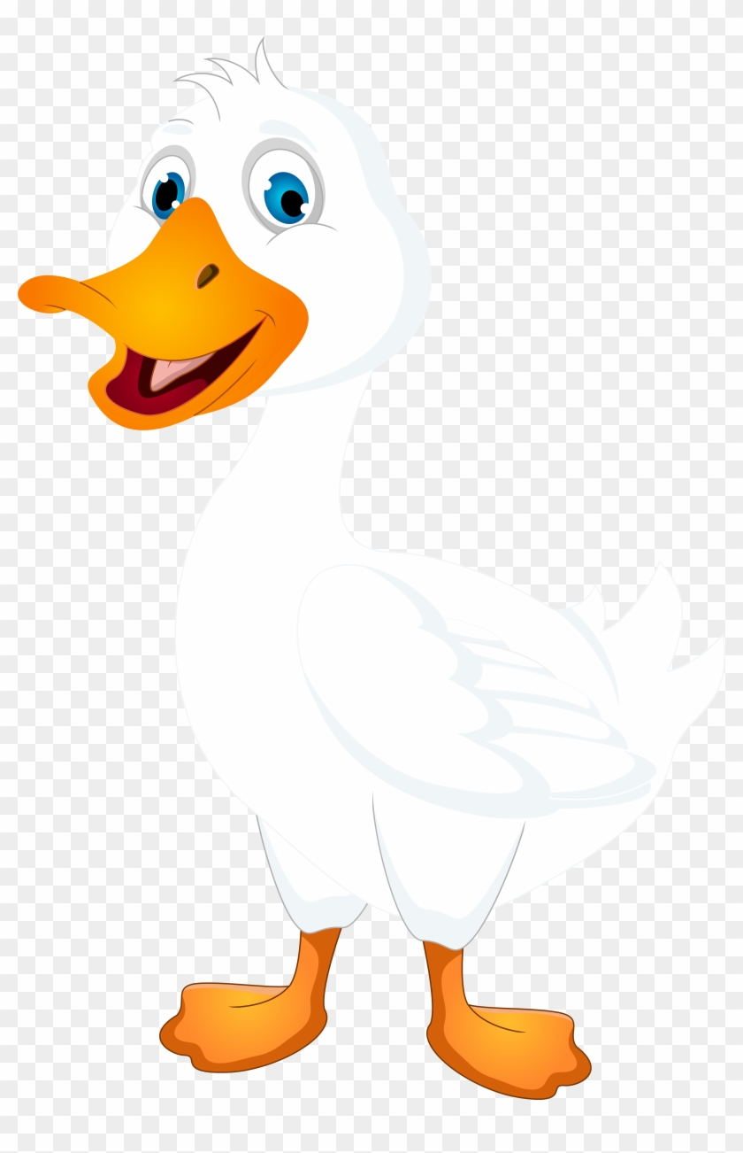 5352 X 8000 12 - White Duck Clip Art - Png Download