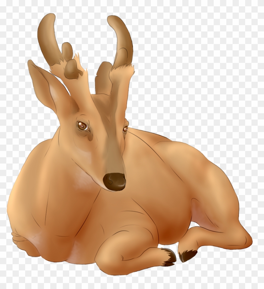 Giant Muntjac Deer - Reindeer Clipart #1019825