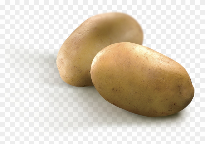 Steak House Potatoes - Yukon Gold Potato Clipart #1020497