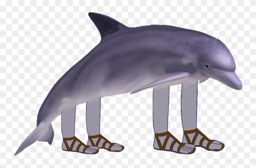 Dolphin With Arms And Legs Clipart #1021694