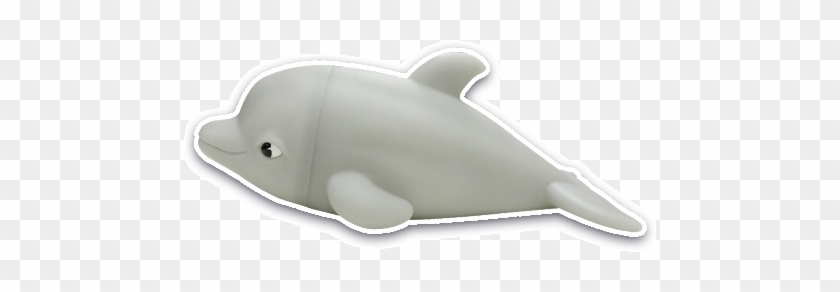 Common Bottlenose Dolphin Clipart #1021809