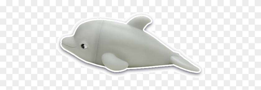 Common Bottlenose Dolphin Clipart
