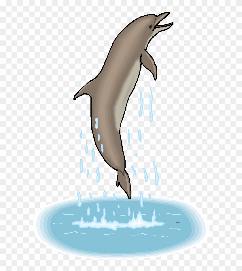 Dolphin Dolphin Dolphin - Gif Dolphin Png Clipart