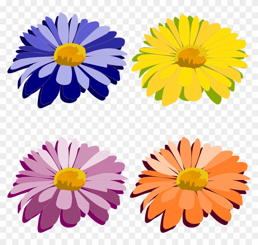 Daisy Clipart Flores - รูป ปะ ดอกไม้ - Png Download