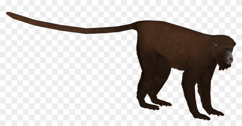 1307 X 1307 0 - Howler Monkey Transparent Clipart