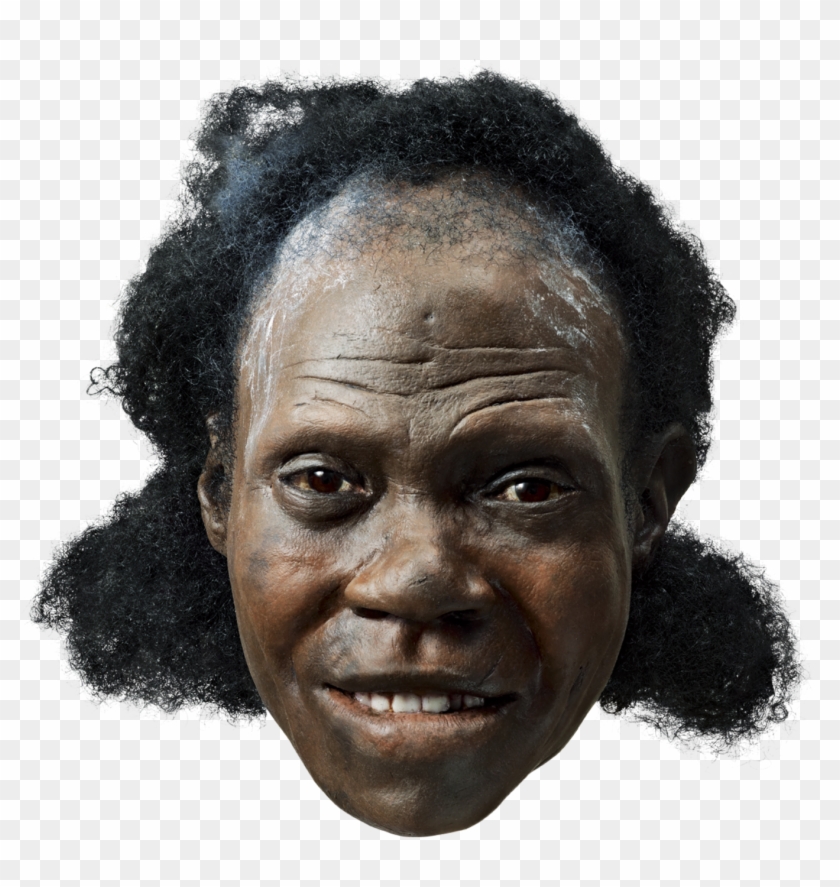 1440 X 1440 3 - Modern Humans Face Clipart