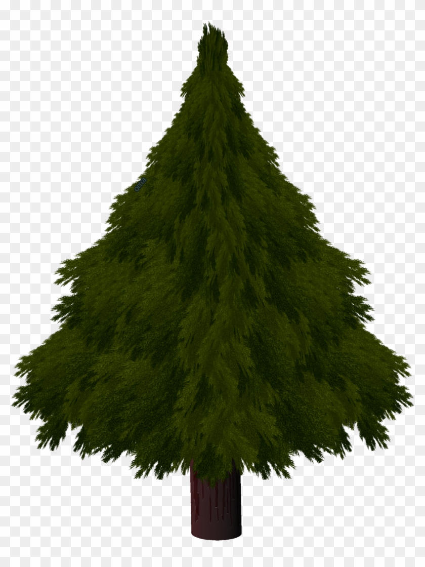 Drawn Pine Tree Texture - Drawing A Realistic Christmas Tree Clipart #1023639