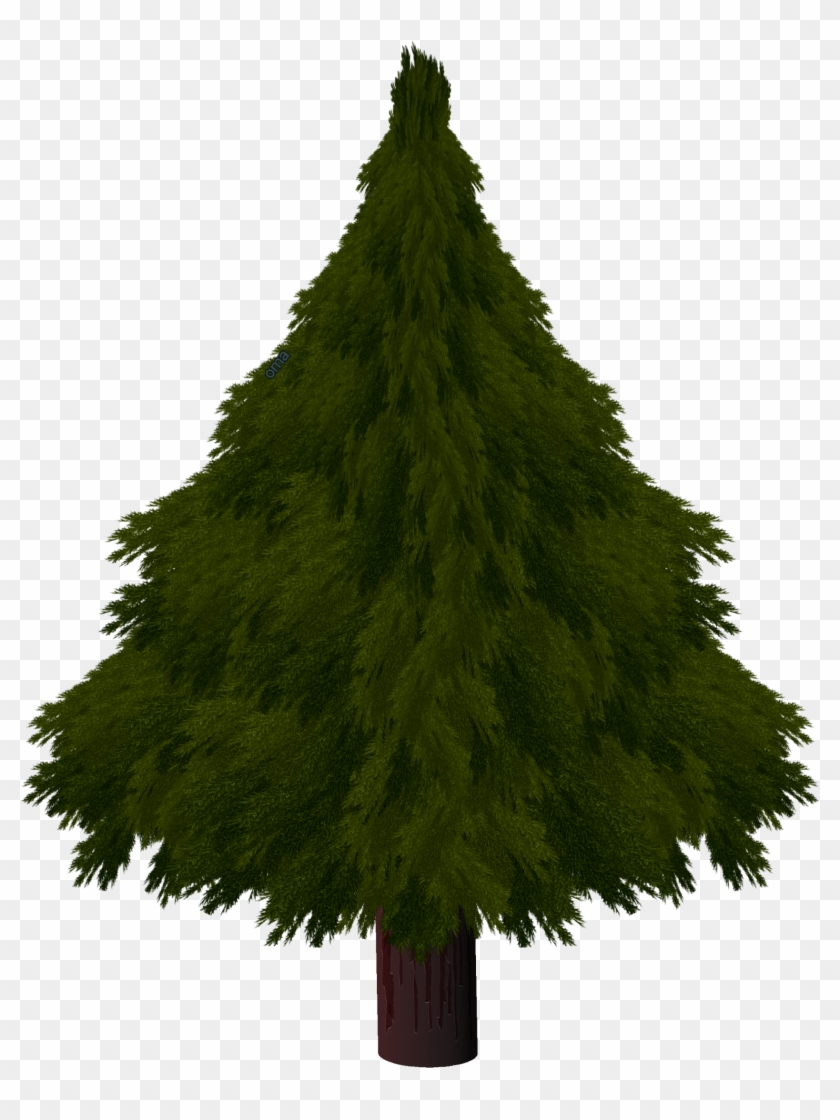 Drawn Pine Tree Texture - Drawing A Realistic Christmas Tree Clipart