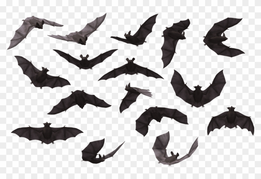 Download Bat Png Images Background - Bat Png Clipart
