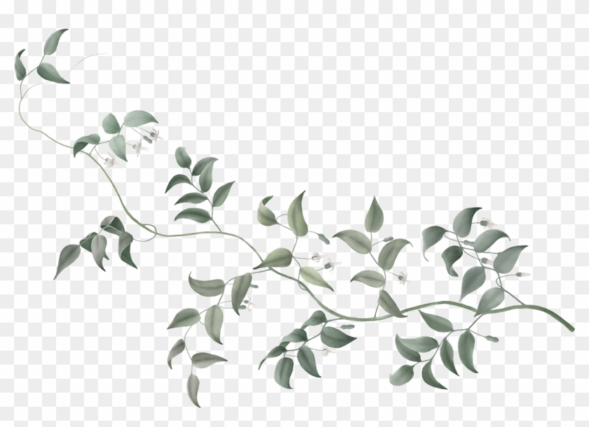 Go To Image - Floral Vine Transparent Background Clipart
