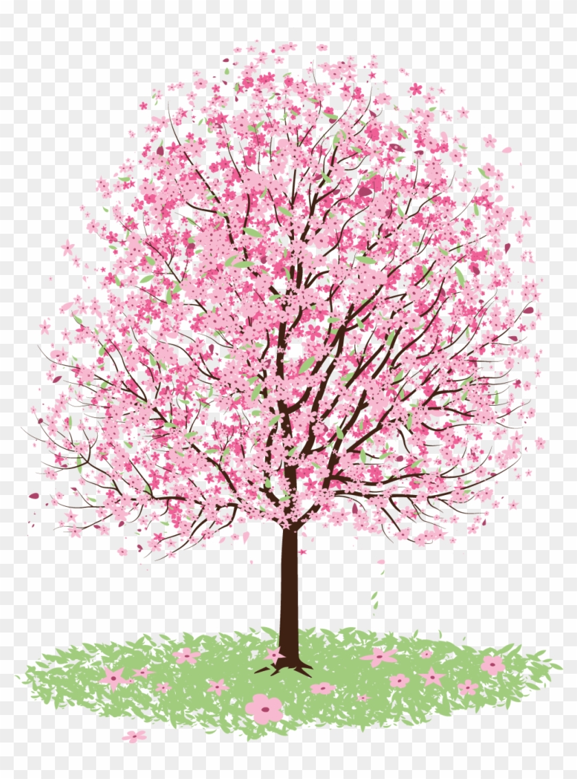 Freeuse Stock Cherry Blossom Tree Clipart - Blossom Tree Vector Free - Png Download