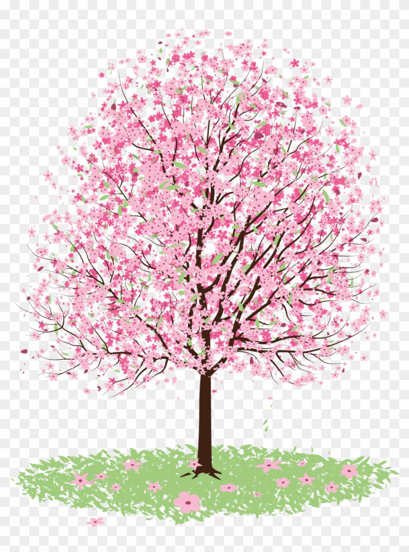 Freeuse Stock Cherry Blossom Tree Clipart - Blossom Tree Vector Free - Png Download #1026182