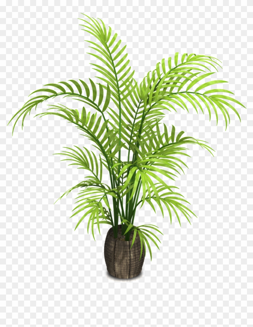 Woodgrain Mimoscartoon Transparent Clipart #1026325