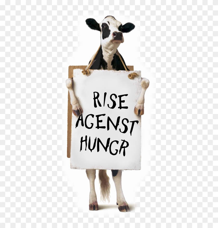 Good 20 Chick Fil A Cow Png For Free Download On Ya-webdesign - Cow Saying Eat More Chicken Clipart