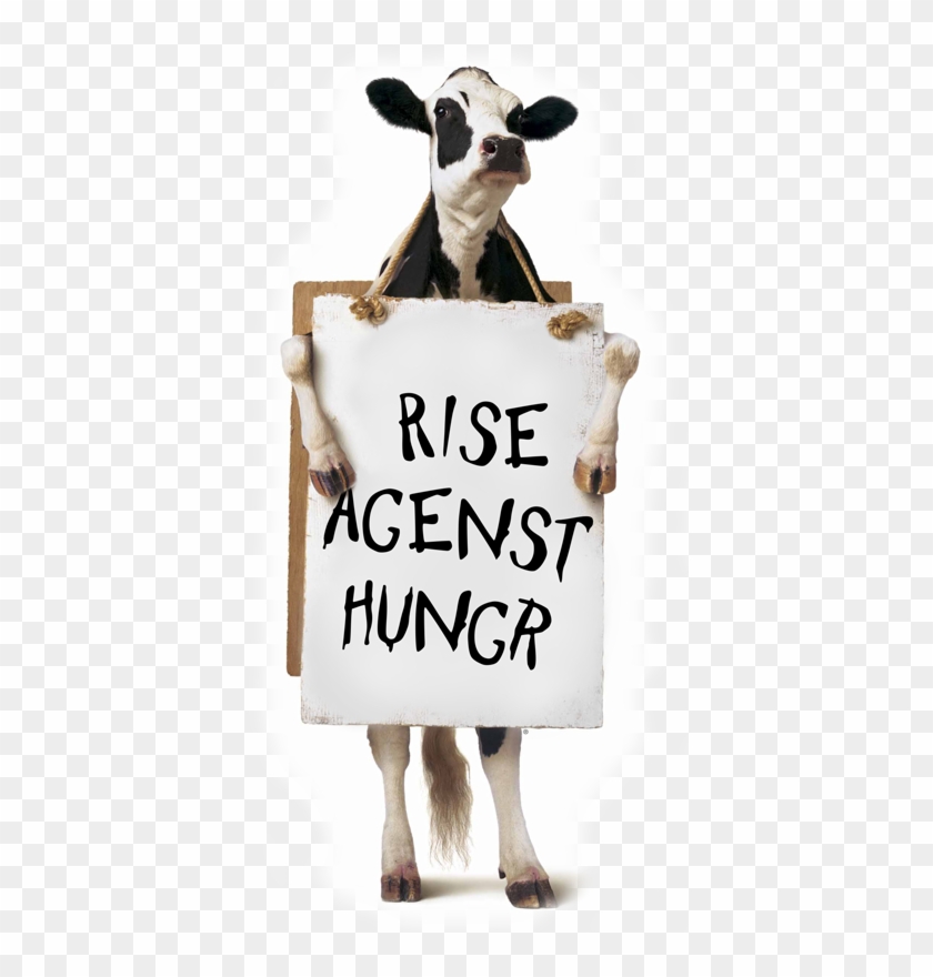Good 20 Chick Fil A Cow Png For Free Download On Ya-webdesign - Cow Saying Eat More Chicken Clipart #1027010