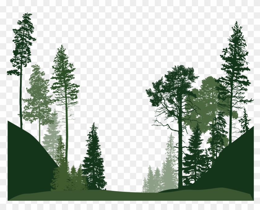 Forest Png Image File - Tree Vector Clipart #1027036