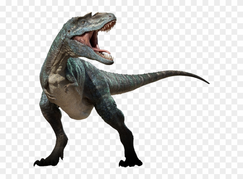 Austin's Spanish Dinosaurs Zoo - Gorgosaurus Dinosaur Clipart #1027184