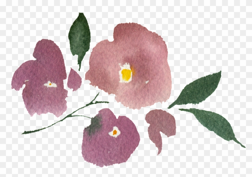 Hand Painted Three Watercolor Flowers Png Transparent - Rose Clipart