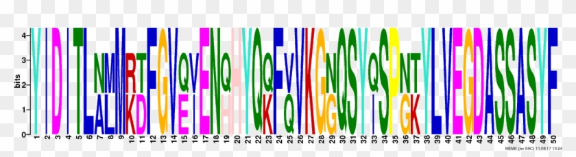 Png Logos Require Convert From Imagemagick - Graphic Design Clipart #1028916