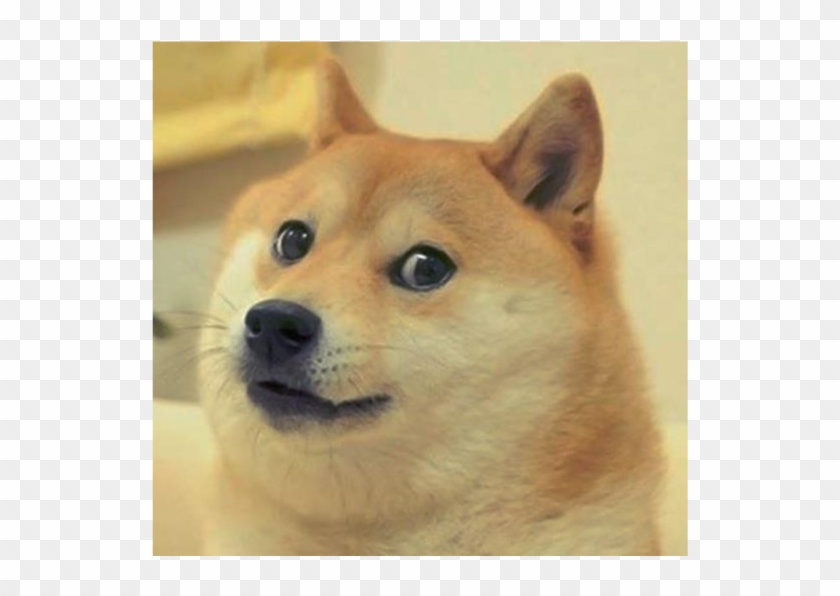 Doge - Svg - Doge Svg Clipart #1030394