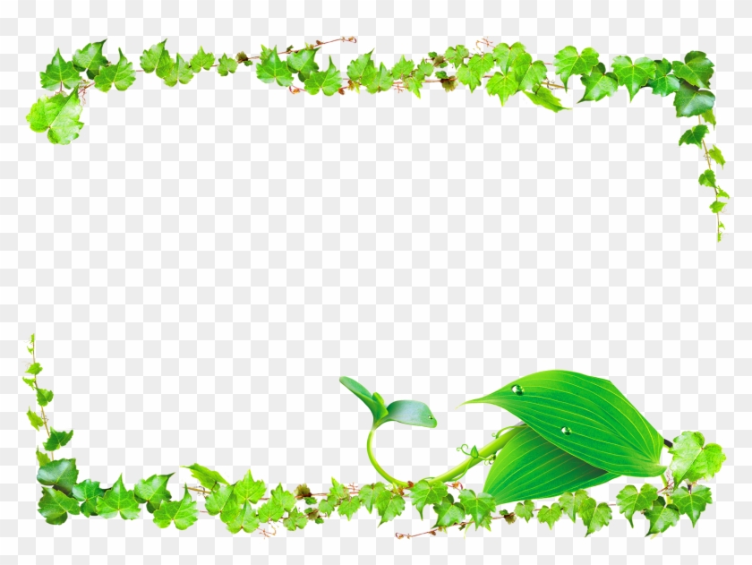 2450 X 1725 15 - Border Png In Green Clipart