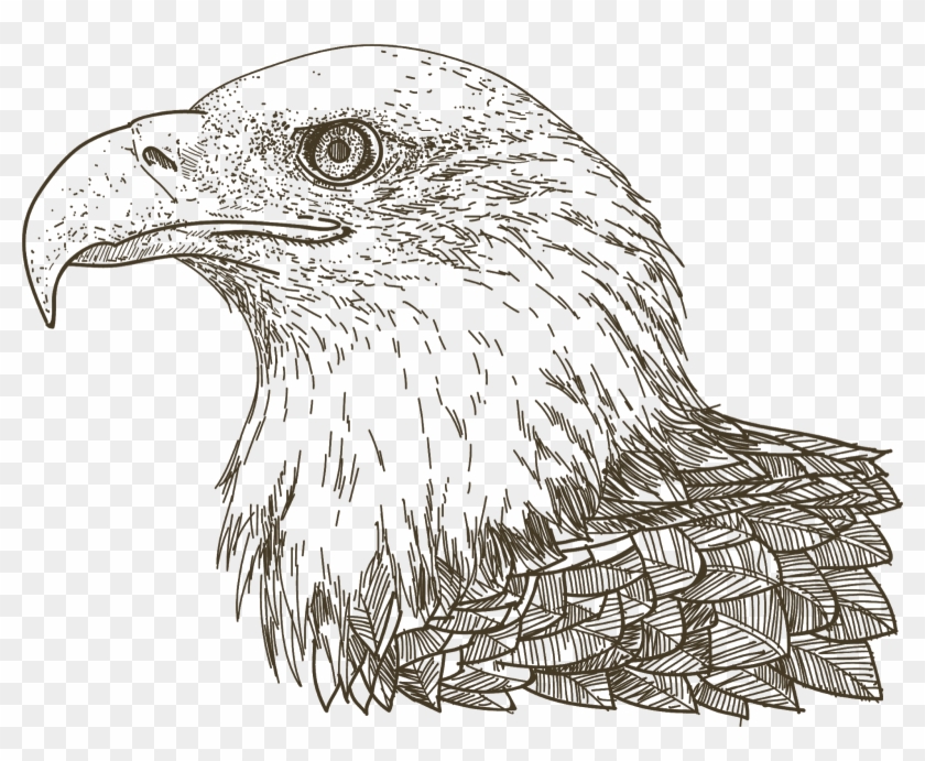 Eagle Png Logo - Drawing Clipart #1033220