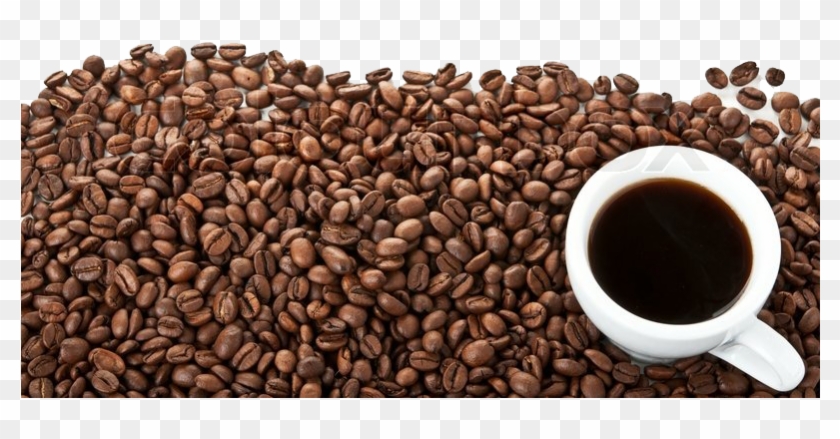 Coffee - Coffee Beans White Background Png Clipart #1034190