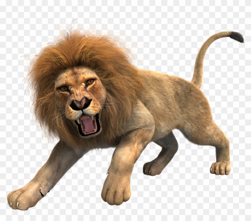 Lion Png Hd Image - Lion Png Clipart #1034333