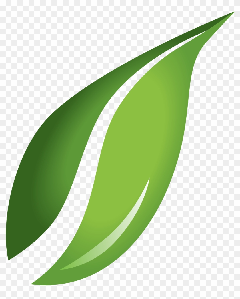 Leaf Png Sustainability The Icon - Leaf Images Png Clipart #1034501